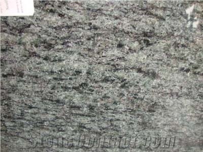 Olive Green Granite Slabs & Tiles