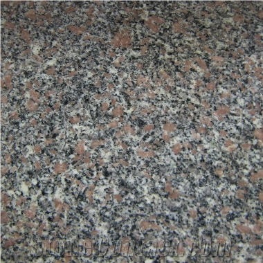 Violet Granite Slabs & Tiles, Viet Nam Brown Granite