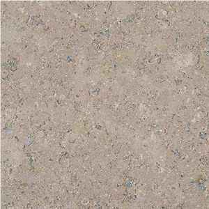 Teriesta Dark Limestone Slabs & Tiles, Egypt Beige Limestone Teriesta Dark Limestone Slabs & Tiles, Egypt Beige Limestone