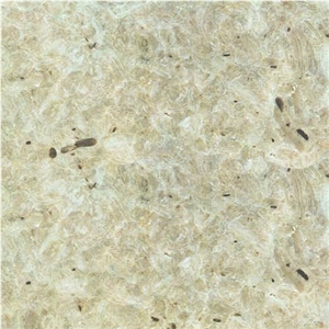 Spuma Beige Limestone Slabs & Tiles, Lebanon Beige Limestone