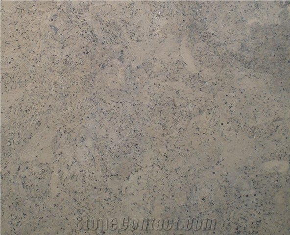 Jerusalem Grey Limestone Slabs & Tiles, Palestine Grey Limestone