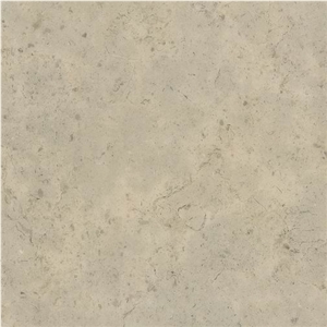 Fossil Limestone Slabs & Tiles, Spain Beige Limestone Fossil Limestone Slabs & Tiles, Spain Beige Limestone