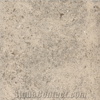 Gascogne Blue Limestone Slabs & Tiles