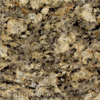 Giallo Napoleon Granite Slabs & Tiles, Brazil Yellow Granite
