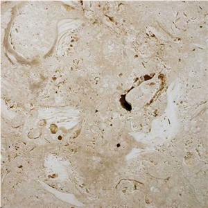 Ostra Shellstone Limestone Slabs & Tiles, Mexico Beige Limestone Ostra Shellstone Limestone Slabs & Tiles, Mexico Beige Limestone