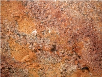 Juparana Bordeaux Granite Slabs & Tiles