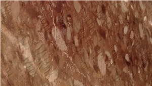 Brunello Quartzite Slabs & Tiles, Brazil Brown Quartzite