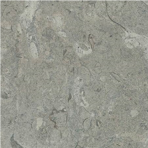 Bir Zeit Grey Limestone Slabs & Tiles, Israel Grey Limestone