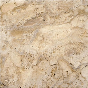 Coralina Gold Coral Stone Tiles, Dominican Coralina Gold Coral Stone Tiles