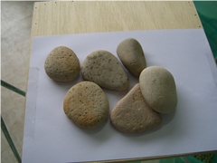 White Applanate Pebble White Applanate Pebble