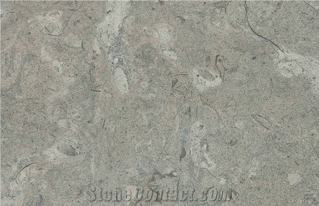 Birzeit Grey Limestone Slabs & Tiles, Israel Grey Limestone