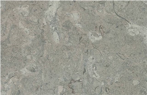 Birzeit Grey Limestone Slabs & Tiles, Israel Grey Limestone