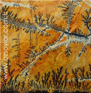 Fossil Mint Slate Slabs & Tiles