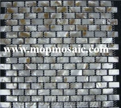 River Freshwater Shell Mosaic