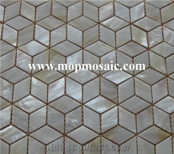 Shell Mesh Mosaic