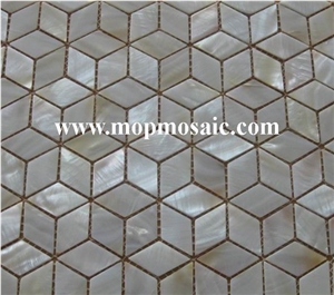 Shell Mesh Mosaic