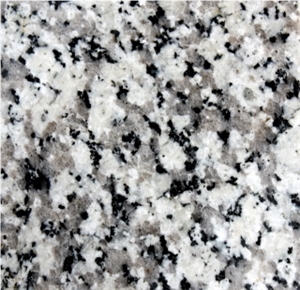 Nehbandan Gray Granite Slabs & Tiles, Iran Grey Granite Nehbandan Gray Granite Slabs & Tiles, Iran Grey Granite