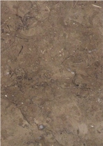 Meli Brown Limestone Slabs & Tiles
