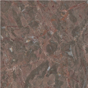 Brecha Tavira Vermelha Limestone Slabs & Tiles, Portugal Brown Limestone
