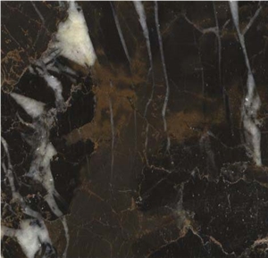 King Gold Marble Slabs & Tiles, Pakistan Black Marble