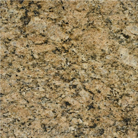 Giallo Venezia Fiorito Granite Slabs & Tiles