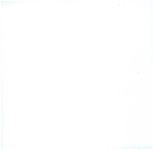 Pure White Compound Stone