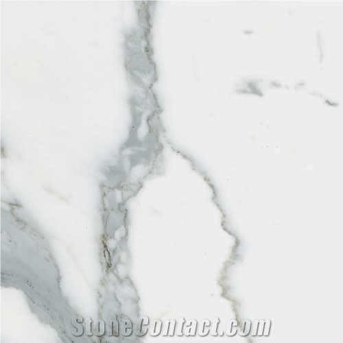 Bianco Statuario Marble Slabs & Tiles, Italy White Marble