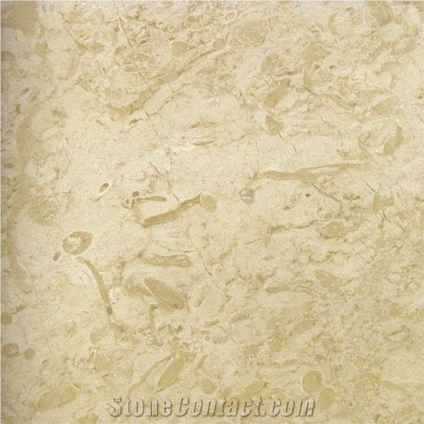 Fossil Beige Marble Slabs & Tiles, Turkey Beige Marble
