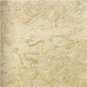 Fossil Beige Marble Slabs & Tiles, Turkey Beige Marble