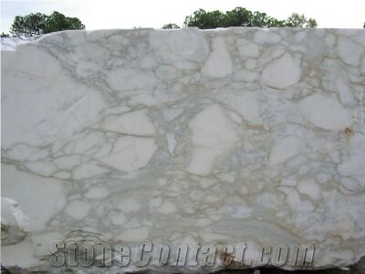 Calacatta Classico Marble Blocks
