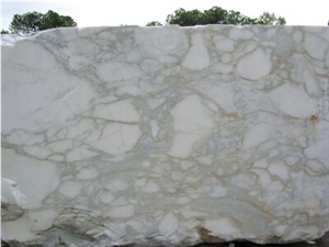Calacatta Classico Marble Blocks