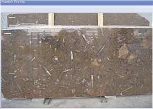 Fossile Marrone Marble Slabs
