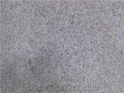 Aurisina Granitello Limestone Slabs, Italy Beige Limestone