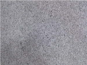 Aurisina Granitello Limestone Slabs, Italy Beige Limestone Aurisina Granitello Limestone Slabs, Italy Beige Limestone