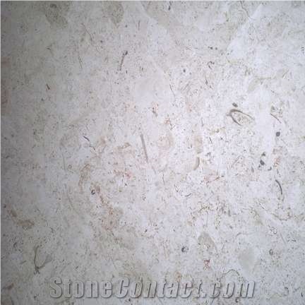 Jerusalem White Limestone Slabs & Tiles, Israel White Limestone