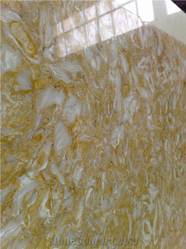 Shells Reef Gold Limestone, Shells Stone Gold Limestone Slabs