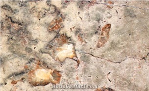 Brecha De St Antonio Limestone Slabs & Tiles, Portugal Beige Limestone