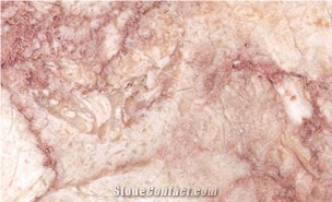 Lioz Abancado Limestone Slabs & Tiles