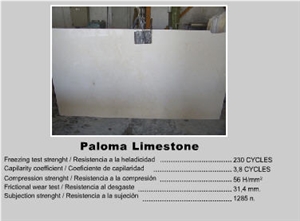 Paloma Limestone Slab, France Grey Limestone