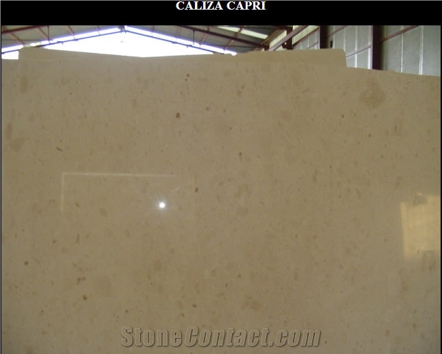 Caliza Capri Limestone Slab, Spain Beige Limestone