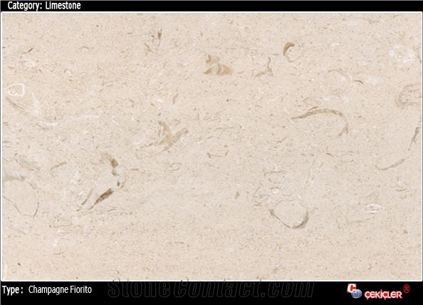 Champagne Fiorito Limestone, Limestone Slabs
