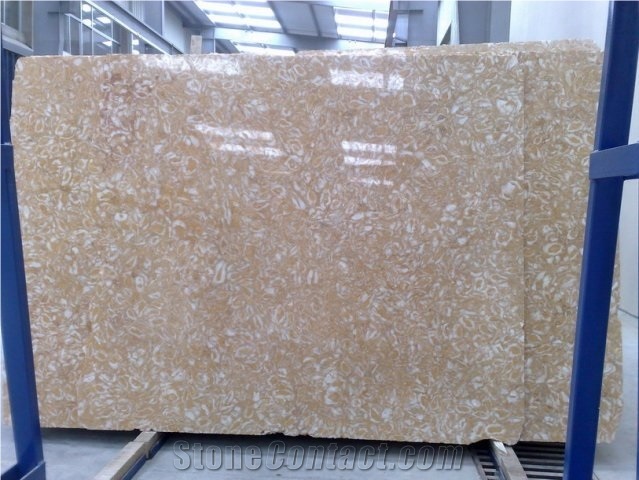 Shell Stone Gold Limestone Slabs, Syria Yellow Limestone
