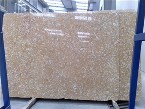 Shell Stone Gold Limestone Slabs, Syria Yellow Limestone Shell Stone Gold Limestone Slabs, Syria Yellow Limestone