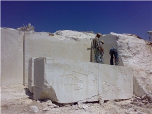 Shells Reef Beige Blocks, Syria Beige Limestone