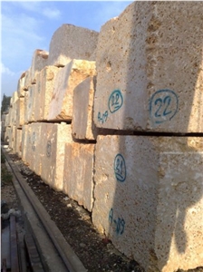 Shells Reef Gold Blocks, Syria Yellow Limestone