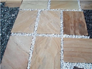 Fossil Sandstone Paver