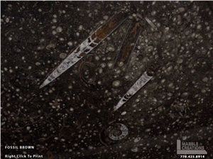 Fossil Brown Limestone Slabs & Tiles, Morocco Brown Limestone