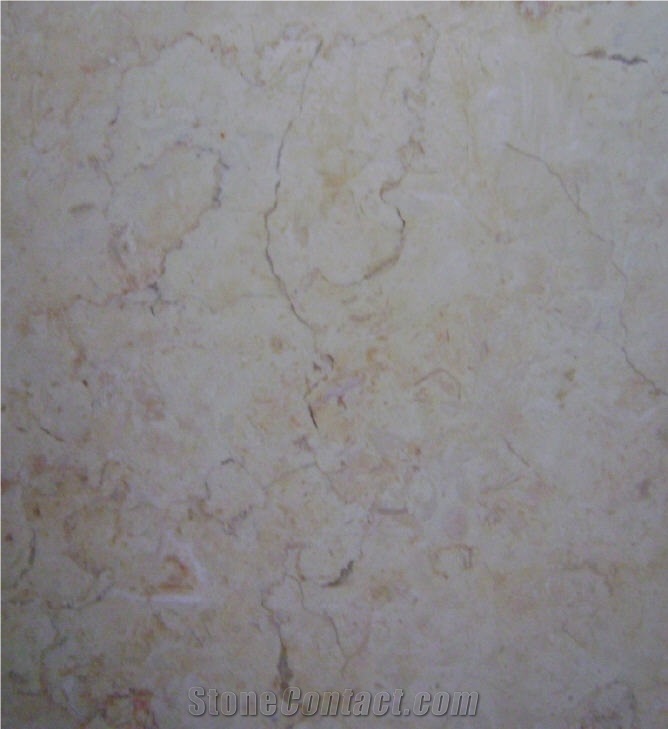 Jerusalem Bone - Hebron Gold Limestone