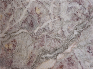 Fior De Pesco Marble