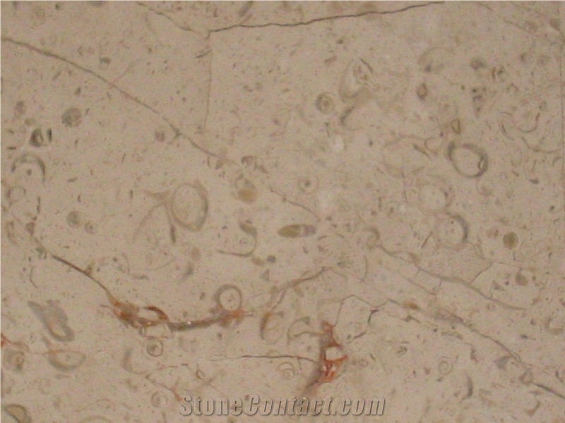 Beige Maya Limestone Slabs & Tiles, Mexico Beige Limestone